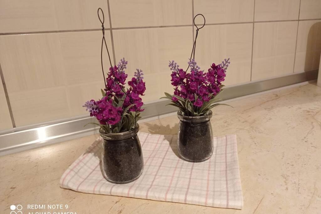 Kalimera Sun Afytos Apartment - אפיטוס מראה חיצוני תמונה